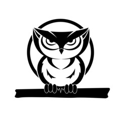 black and white owl