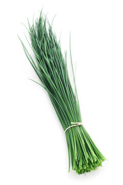 Herb Series - Chives