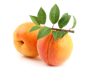 Sweet ripe apricots