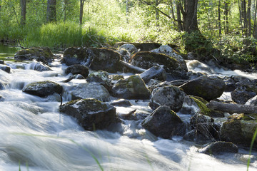 Spring flood, vibrant scene
