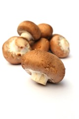 fresh mushrooms