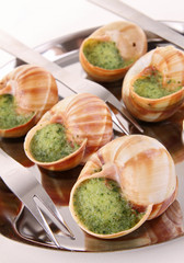bourgogne snails