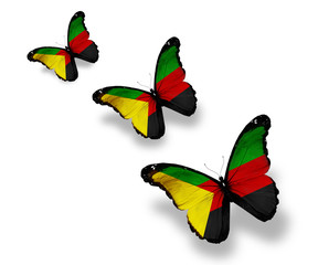 Fototapeta na wymiar Three Azawad flag butterflies, isolated on white