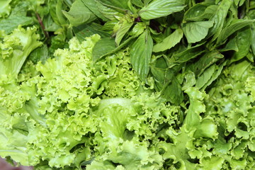 Variety of Vegetables in Thailand Market