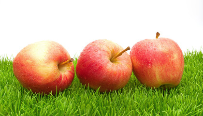 Red Apples on Grass...