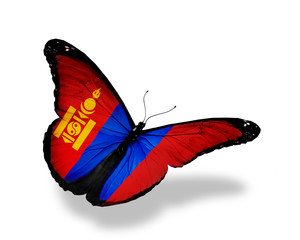 Mongolian flag butterfly flying, isolated on white background