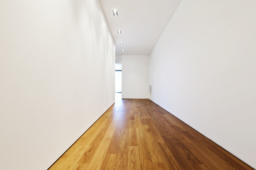 modern house with hardwood floor, room
