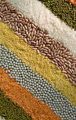 colorful striped rows of dry grains