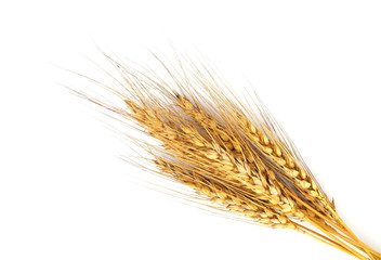 Rye ears isolated on white background