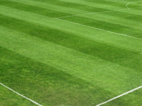 Fussballplatz - Rasen - Spielfeld