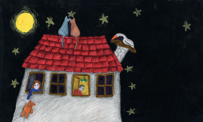 Family house in the night