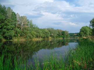 Fototapeta na wymiar rzeka, grunt z drzew i pochmurne niebo