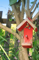 Bird House