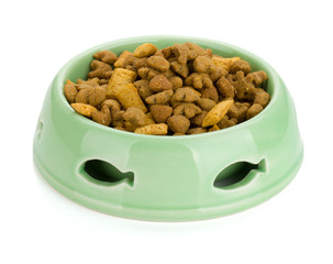 Cat food in a bowl