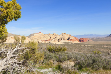 View of Mojave Desert.