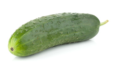 Fresh cucumber vegetable
