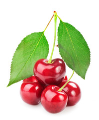 Sweet cherry