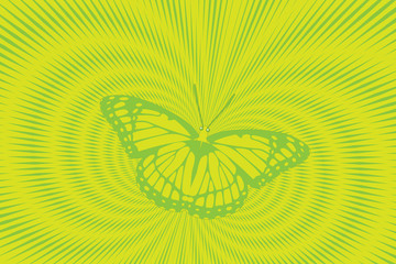 Flying  butterfly green background