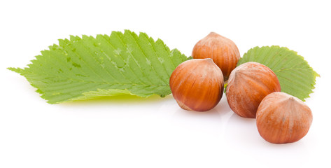 hazelnuts