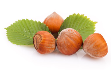 hazelnuts