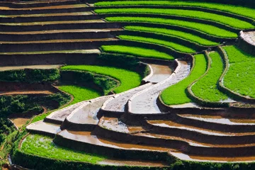 Abwaschbare Fototapete Rice fields in Vietnam © bvh2228
