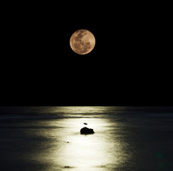 Moonlight