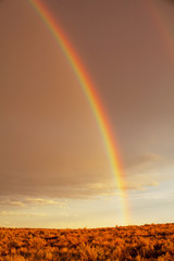 Fototapeta premium Rainbow