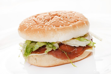 burger on the white