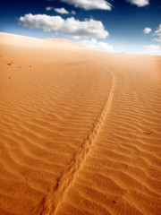 Sand Dunes Landscape