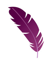 Vector icon feather pen