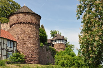 trendelburg