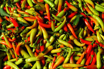 Pile of fresh pepper