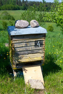 behive