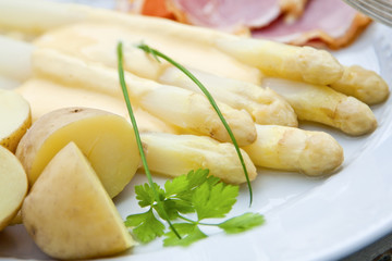 Spargel