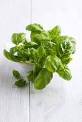 Fresh basil in a bowl on wooden background