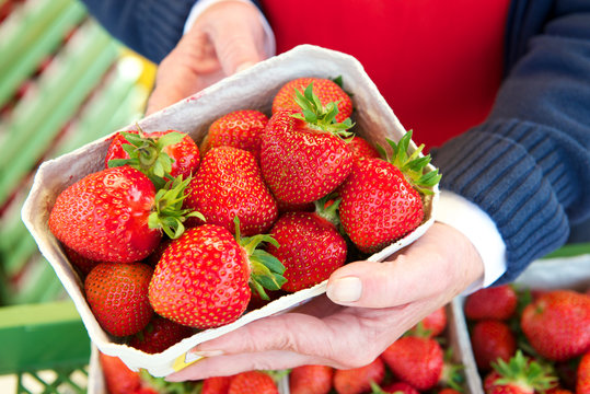 Erdbeeren Verkauf