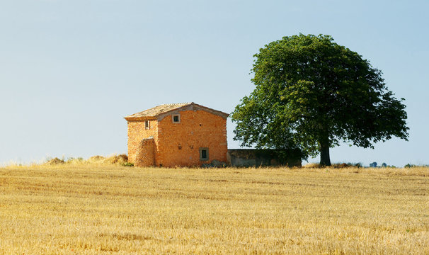 cabanon en provence