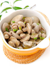 Homemade pickled annulated boletus