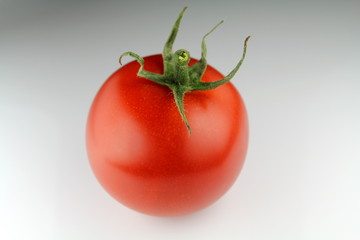 Tomate