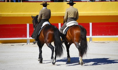 Spectacle équestre