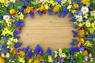 blütenrahmen - frühling