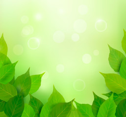 Nature background with fresh green leaves. Vector.