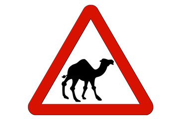 Peligro camellos