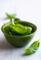 Basil Leaves