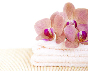 Obraz na płótnie Canvas Orchid on Towel