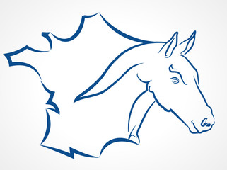 le cheval en France