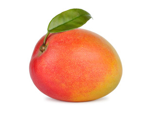 mango fruit