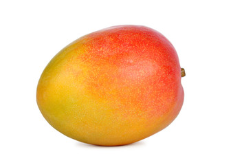 mango fruit