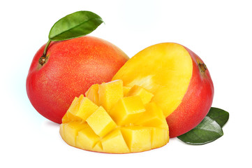 Mango fruit
