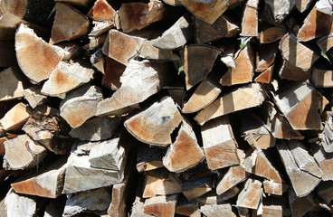chopped wood close-up